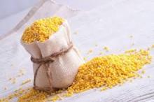Yellow Millets