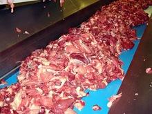 Beef trimming 70/30 , 80/20, 95/5