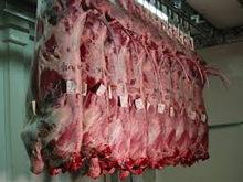 Halal Frozen Carcas, Kidney, Bone Marrow, Liver, Leg