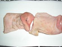 Frozen pork snouts
