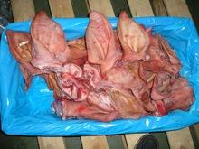 FRESH, PIG HIND, EAR, TAIL, PORK FEET, PORK