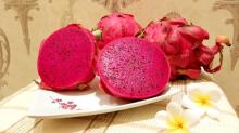 Fresh Red Dragon Fruit