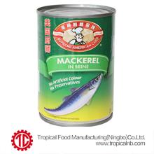Canned mackerel in brine