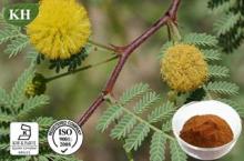 Acacia Catechu Extract: 6:1; 40% Catechins (catechin, epicatechin)