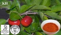 Acerola Cherry Extract Source of Vitamin C