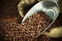 Robusta coffee