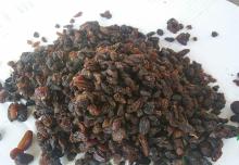 Industrial Grade Raisins