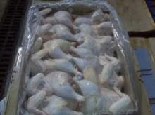 Frozen Chicken Meat