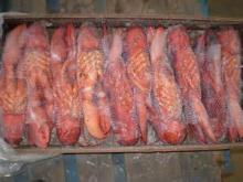 Lobsters , Crabs, Shrimps