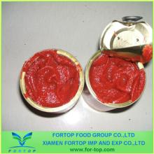 canned tomato paste