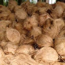 SEMI HUSHED COCONUTS