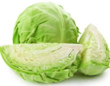 FRESH CABBAGE