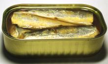 Canned Sardine FISH 125g - 50pcs