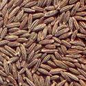 INDIAN CUMIN SEEDS 99.5%