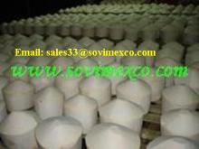  YOUNG   GREEN  COCONUT