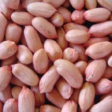 Shandong peanut kernels, peanut in shell, blanched peanuts
