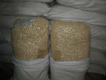 new arrival  blanched  peanut in good price
