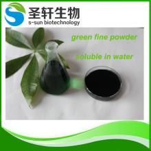 Natural sodium  copper  chlorophyll