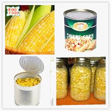Canned sweet corn in good quality