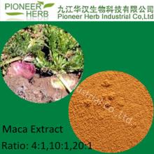 Sex Medicines Product maca root extract powder , 100% Pure Natural maca extract