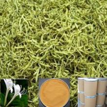 free sample HPLC  honeysuckle   flower  extract 5%  chlorogenic  acid CGA