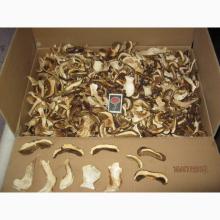 Dry ed Boletus Edulic  Slices 