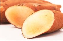 Yacon fruit extract