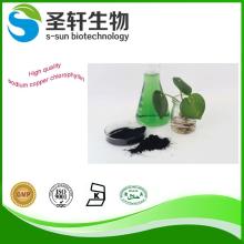 sodium copper chlorophyllin