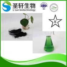 chlorophyll powder