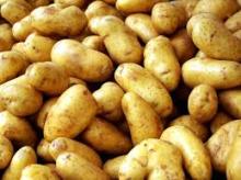  FRESH   ORGANIC   POTATO 