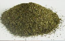 100%organic green tea