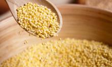 Yellow  Millet  /  HULLED   MILLET  / Green  Millet  / Pearl  millet 