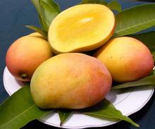 Fresh Mango Fruits