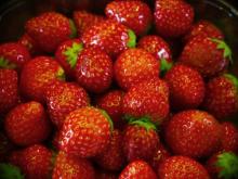 Fresh Berry Fruit