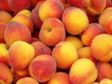 Peach Fruit
