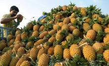 Pinapple