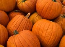 Pumpkin Fruit