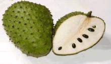 Fresh Soursop Fruits