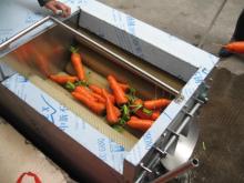 Stainless steel vegetable washing machine