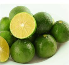 100% Natural Cumquat Powder/ Instant Cumquat Juice Powder/ Spray Dried Cumquat Powder