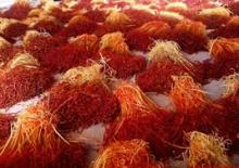 Saffron spice