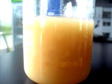  Concentrate d  Peach   Juice 