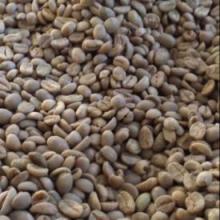 Ethiopian  Arabica Harrar Coffee  Beans 