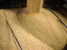 Copy of Quality  Soybean   Meal  for sale