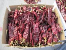 Dried sweet  Paprika 