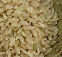 Gold Grain rice