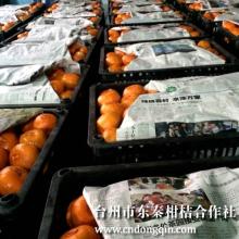 Buy China late tangerines 55mm-75mm