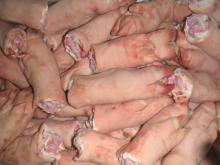  Frozen   Pork  Ear / Frozen   Pork   Feet  /  Frozen   Pork  Tail