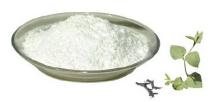 High quality for  Polygonum   cuspidatum   extract  / resveratrol 98%