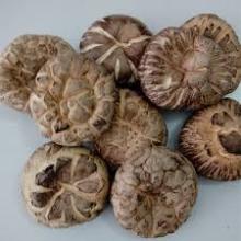 dried Tea Flower Mushroom